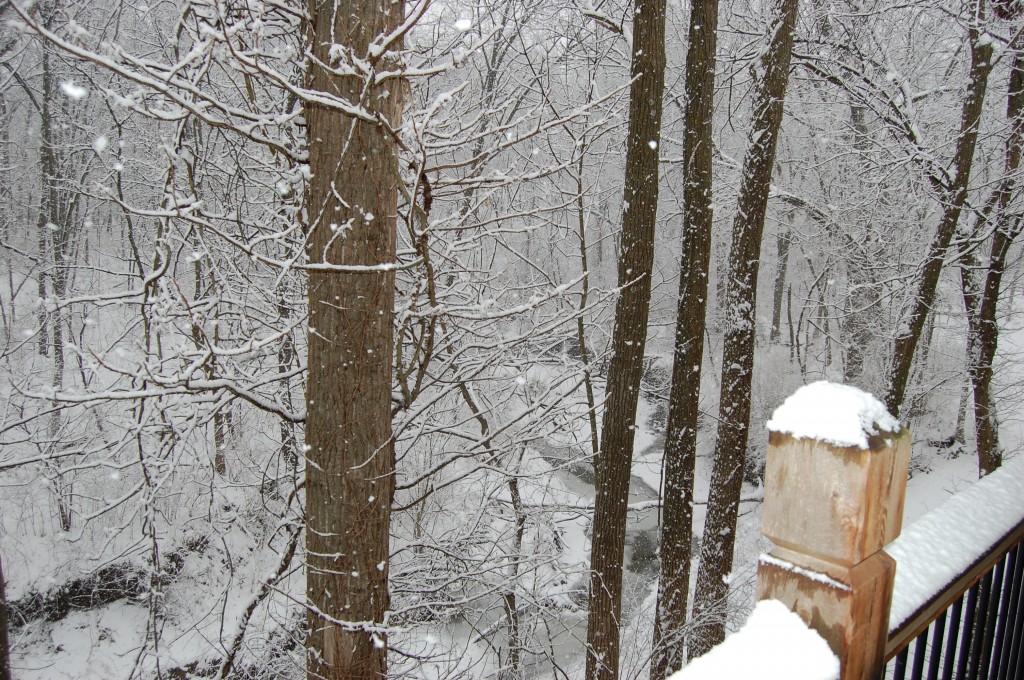 View from the Balcony During Snow Storm
