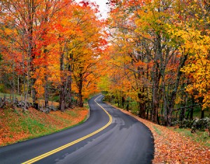 Autumn and Winter