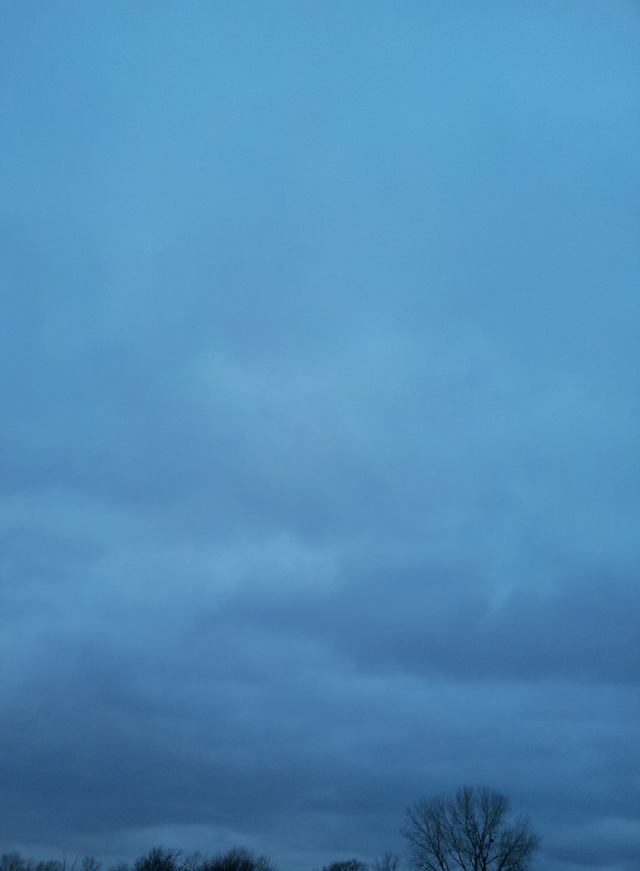 Wind Storm Outside