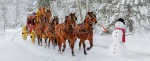 Wells Fargo and Company Dividend Stock