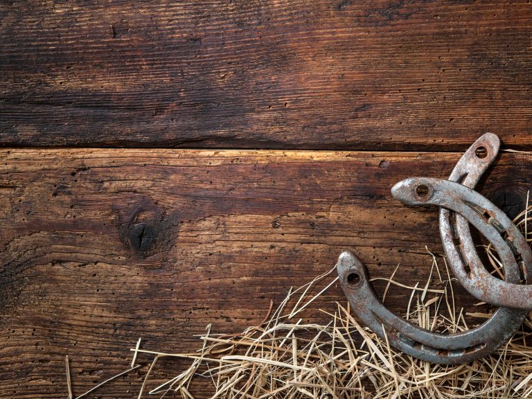 Horseshoe Political Theory Explanation