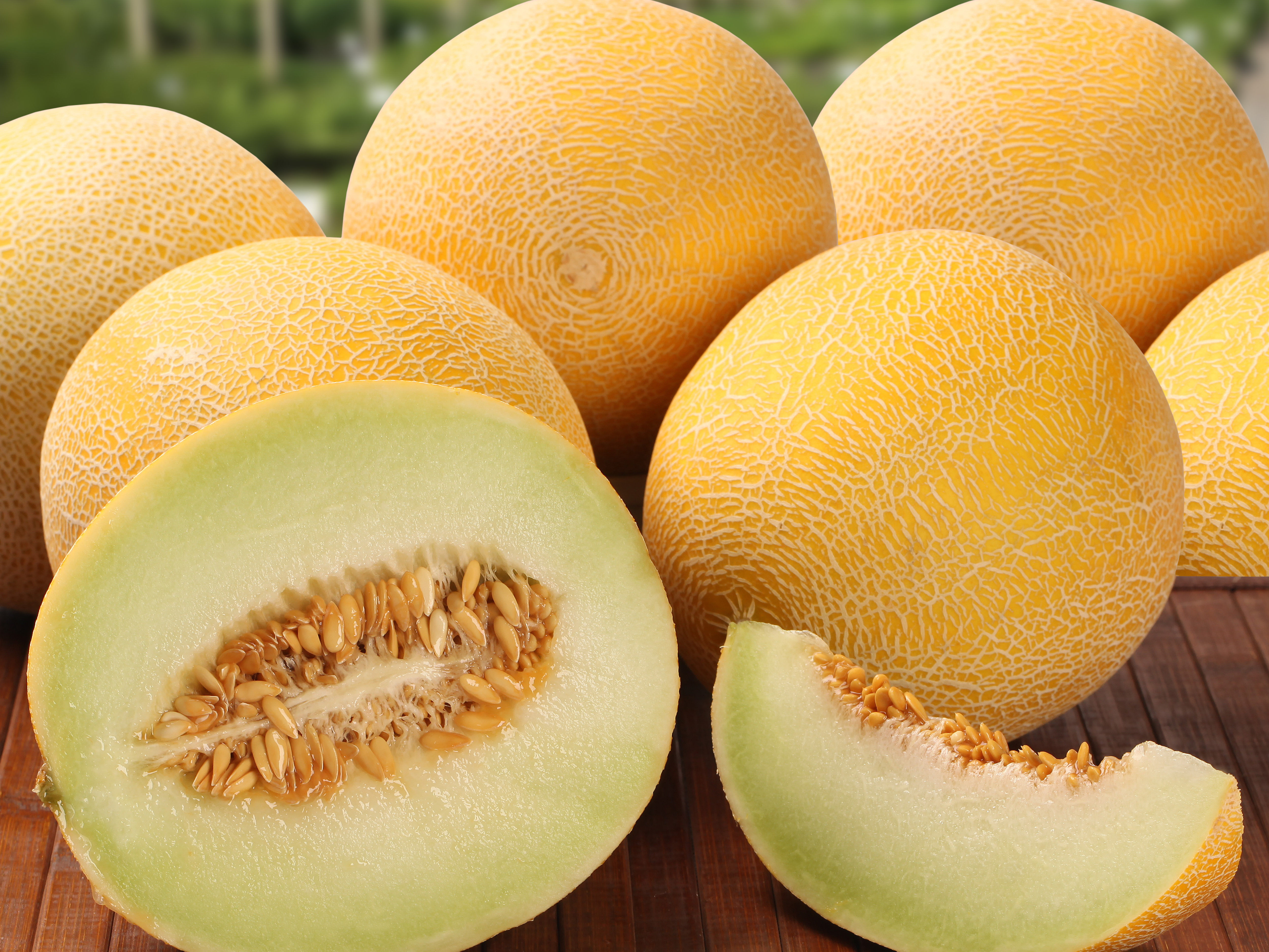 Chinese Proverb Melon Seeds