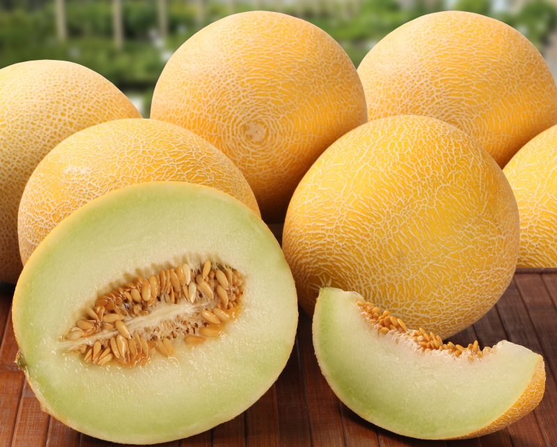 Chinese Proverb Melon Seeds Chinese Proverb Melon Seeds