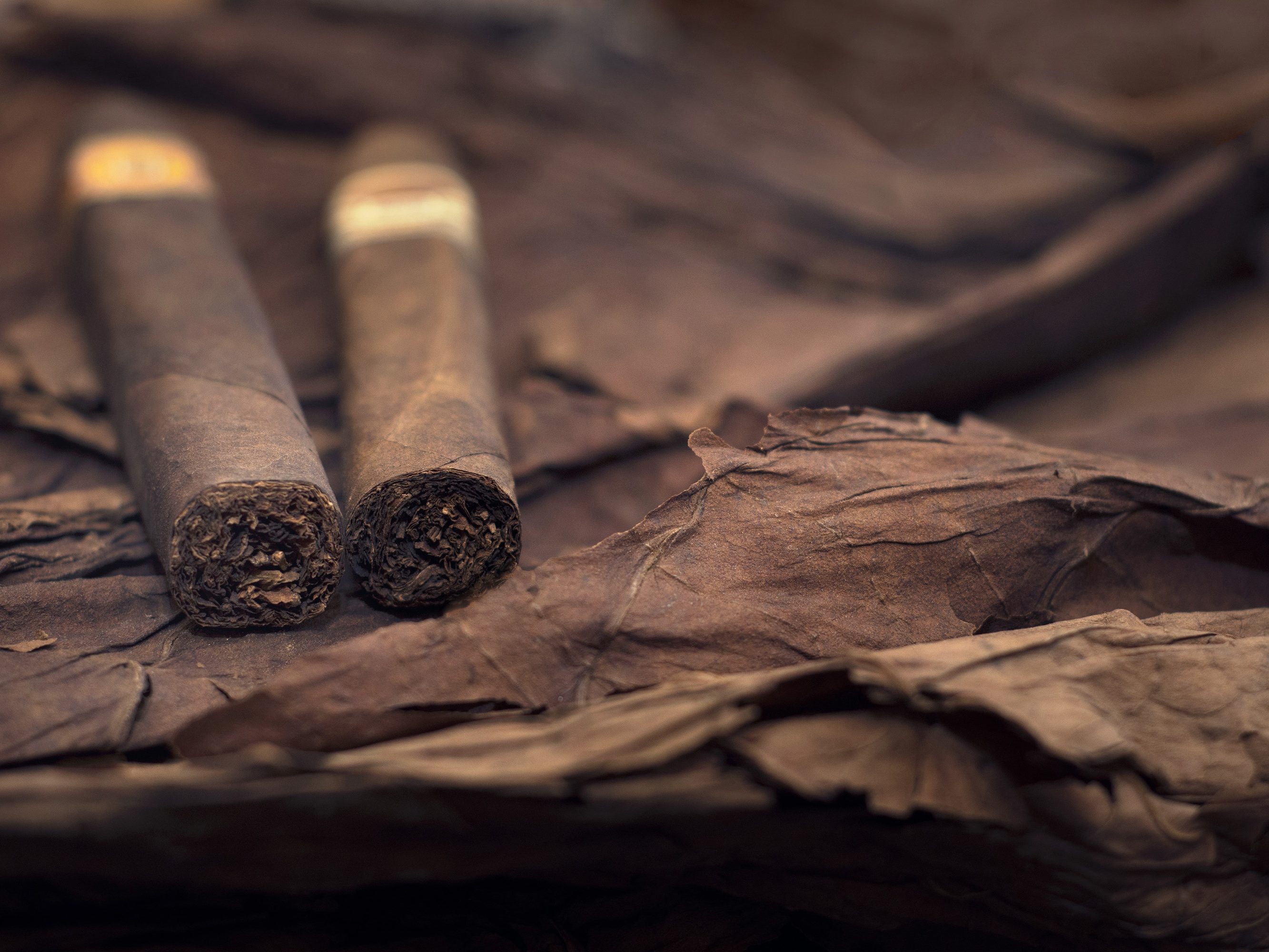 RJ Reynolds Tobacco Shares Stock