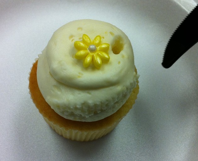 Daisy Cupcake Up Close