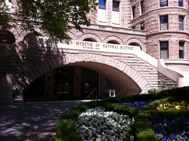 Museum of Natural History NYC Building Front