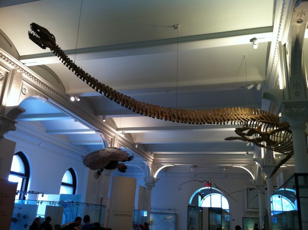Scary Dinosaur Scary Dinosaur