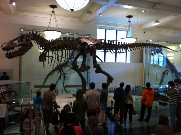 T-Rex Bones T-Rex Bones