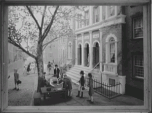 Buttonwood Tree on Wall Street Buttonwood Tree on Wall Street