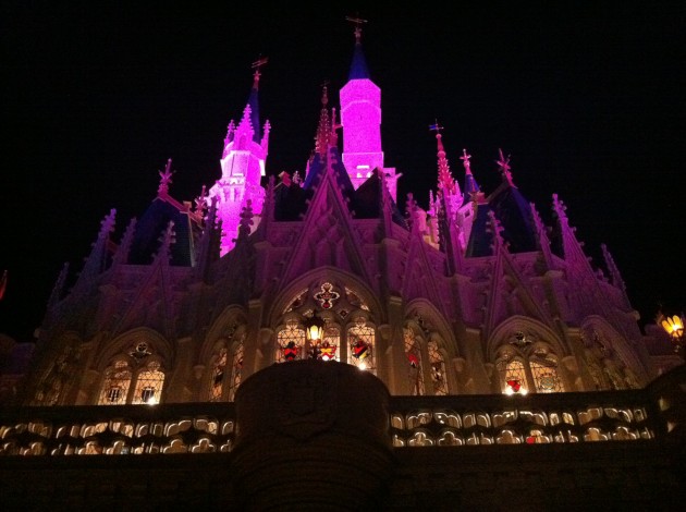 Cinderella Banquet Hall for the Princess Breakfast