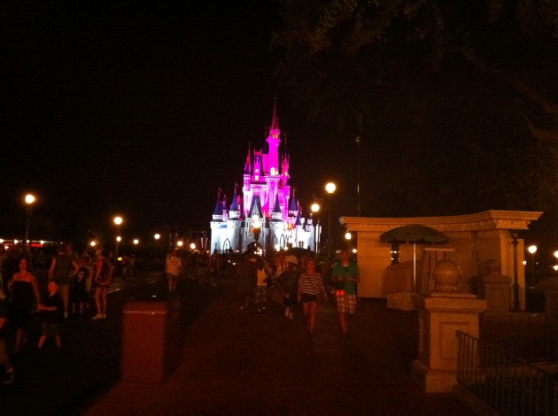 Cinderella Castle Magic Kingdom Night in Purple and White Light