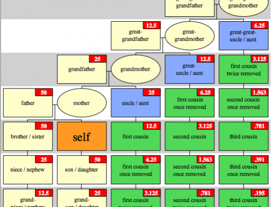 DNA Shared Between Relatives DNA Shared Between Relatives