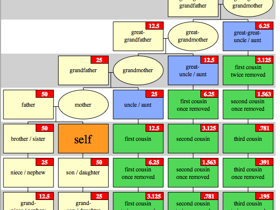 DNA Shared Between Relatives