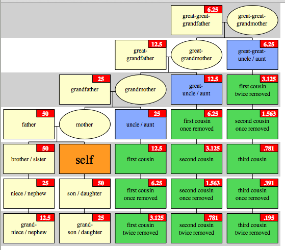 Cousin Chart Dna