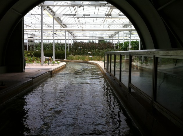 Exiting the Fish Farming Area