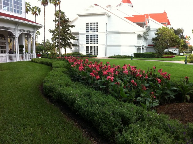 Grand Floridian Landscaping and Flowers