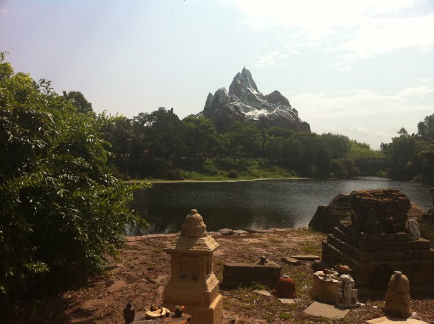 Mt Everest at Disney Animal Kingdom