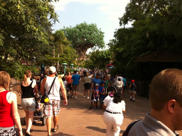 Tree of Life at Disney Animal Kingdom