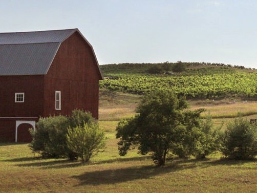 Investing Is Like Farming