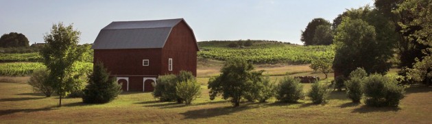 Investing Is Like Farming