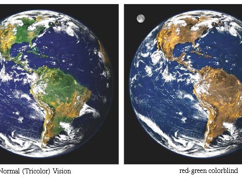 Red Green Color Blindness