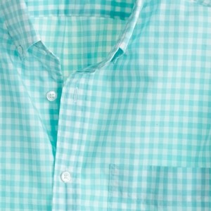 Thomas Mason Shirting Fabric