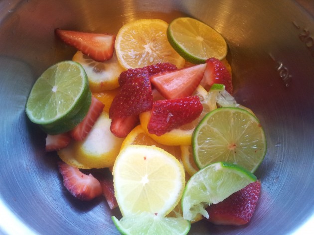 Sliced Fresh Fruit for Spa Water
