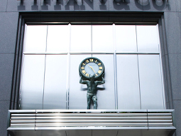 Tiffany and Company Investment IPO Performance Retail