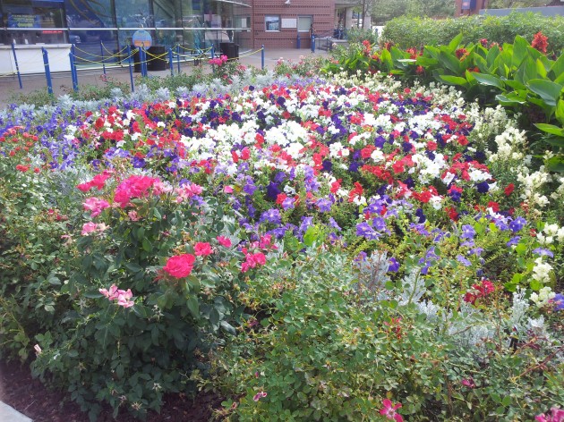 Flowers in Front of Denver Aquarium