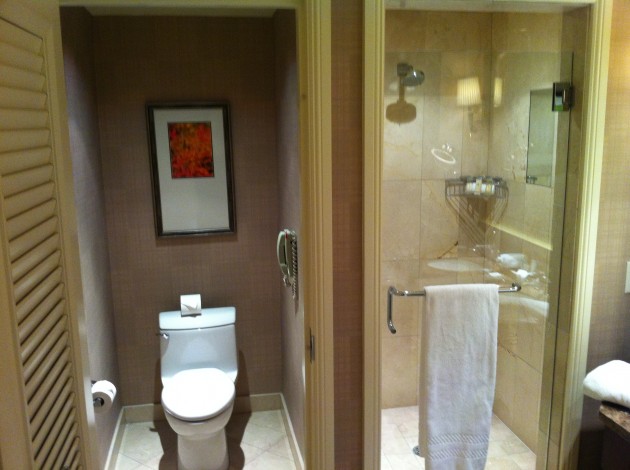 Ritz Carlton Denver Bathroom from Left