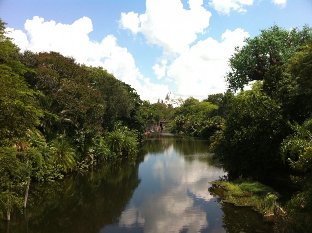 Expedition Everest at Animal Kingdom Walt Disney World