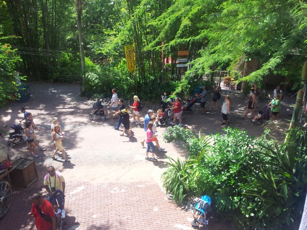 View from Yak and Yeti at Animal Kingdom