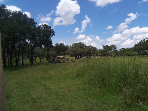 Walt Disney World Animal Kingdom Park Entrance Savannah Safari