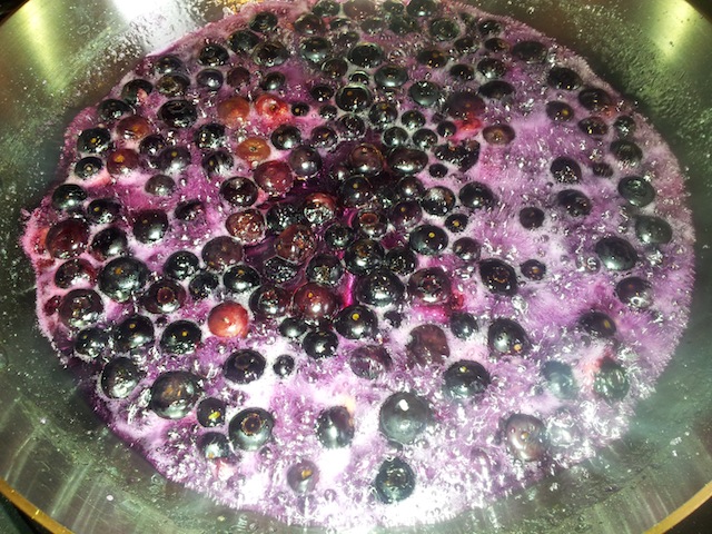 Full Roiling Boil Blueberry Sauce Recipe