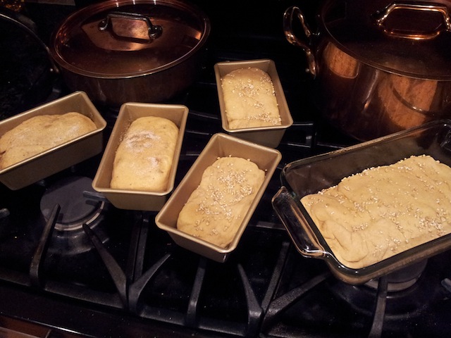 Letting Bread Loaves Rise Before Baking