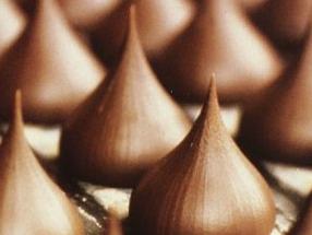 Hershey Company Common Stock Investment