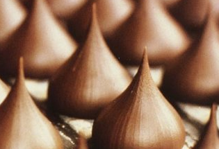 Hershey Company Common Stock Investment Hershey Company Common Stock Investment