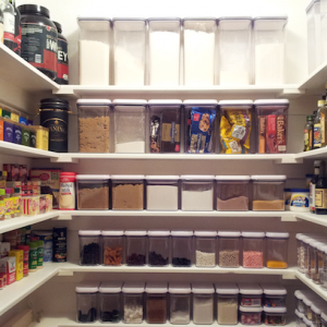 Well Stocked Pantry Project I