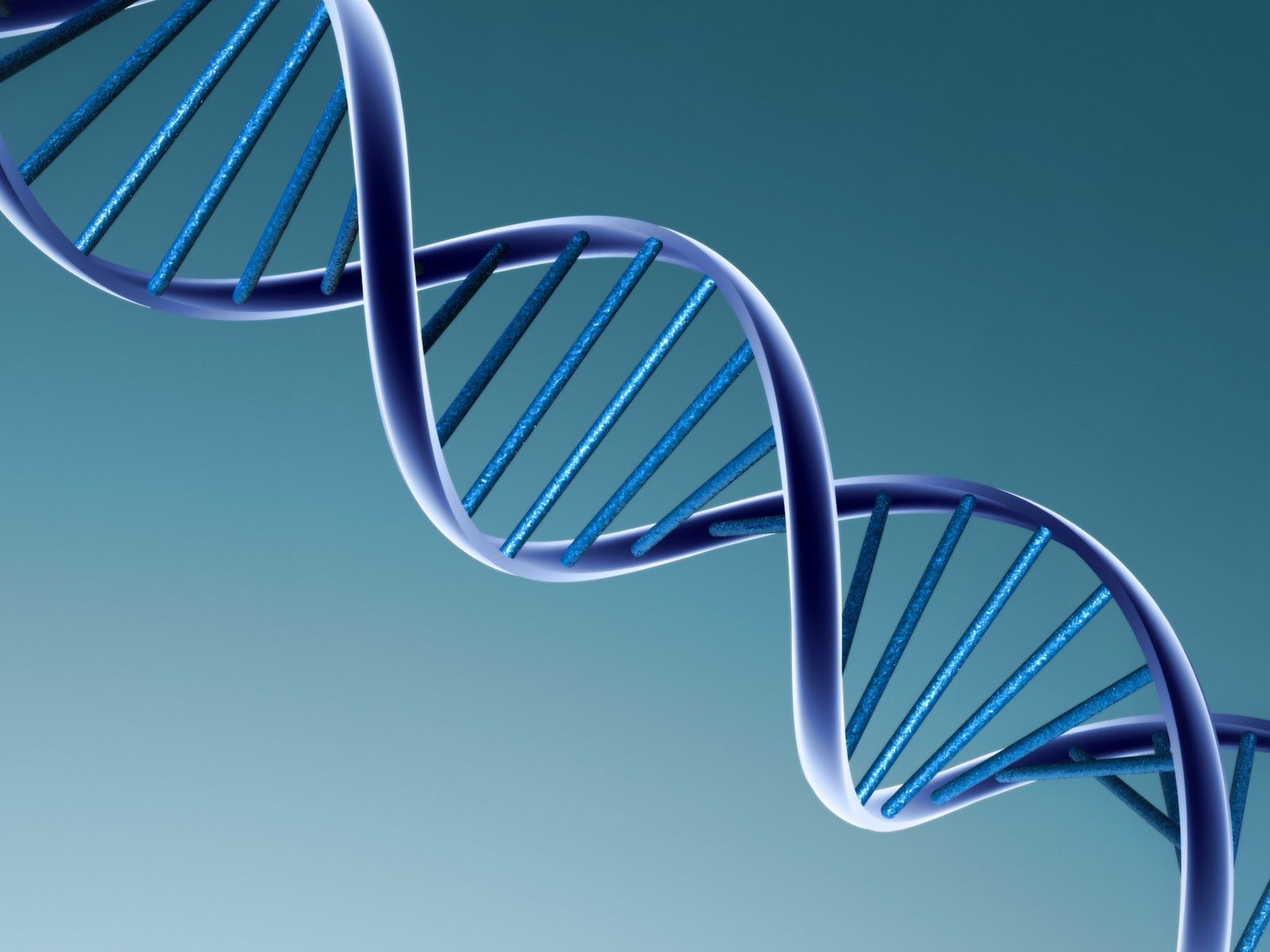 Human Biological Sex Gender