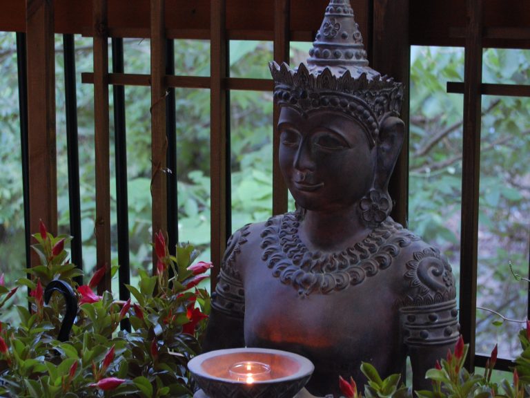 Mandevilla Vines on Statue