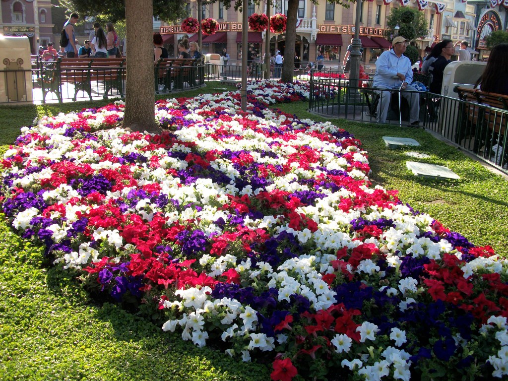 More Beautiful Flowers and Landscaping at Disneyland