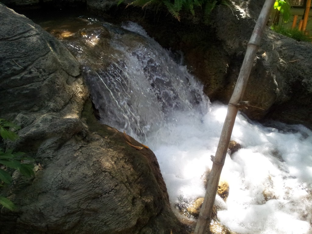 Tarzan Waterfall Disneyland