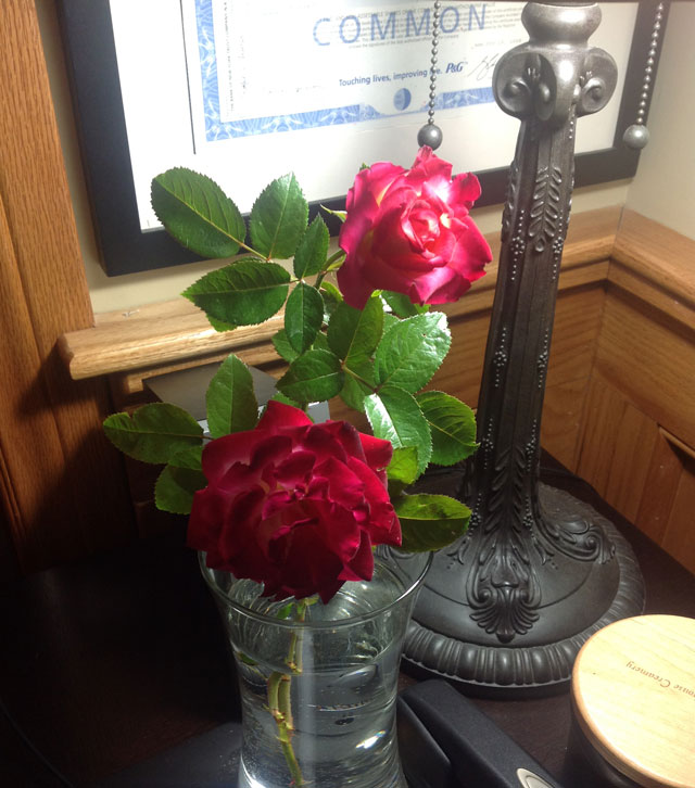 Home Grown Roses in Vase