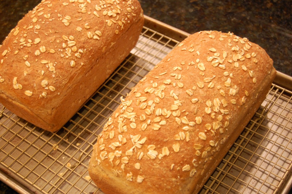 Joshua Kennon Honey Wheat Bread