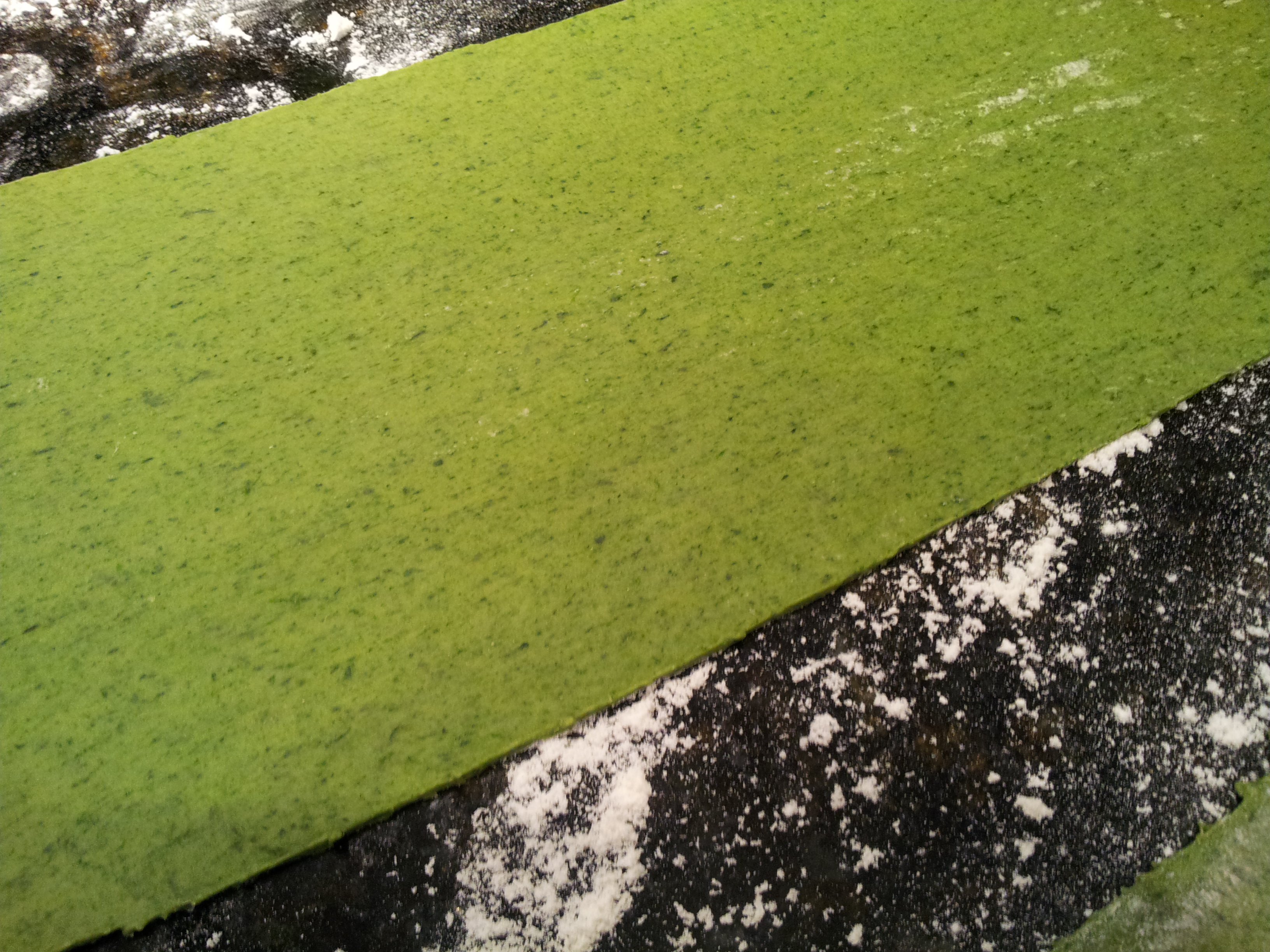 Spinach Pasta Dough Rolled KitchenAid Pasta Attachment