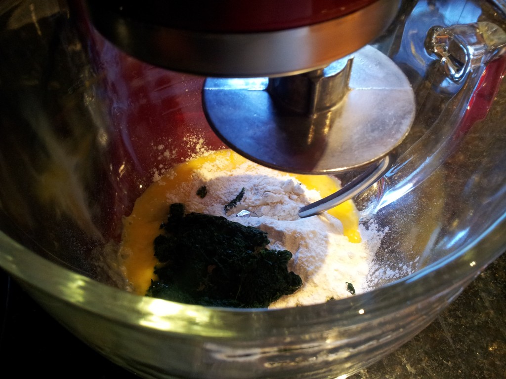 Spinach Pasta in KitchenAid Mixer