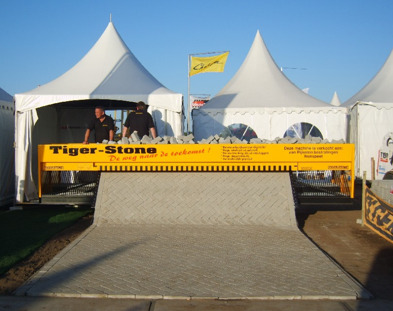 Tiger Stone Tiger Stone
