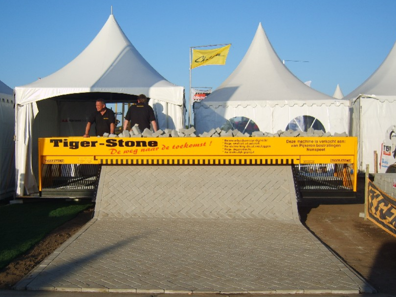 Tiger Stone