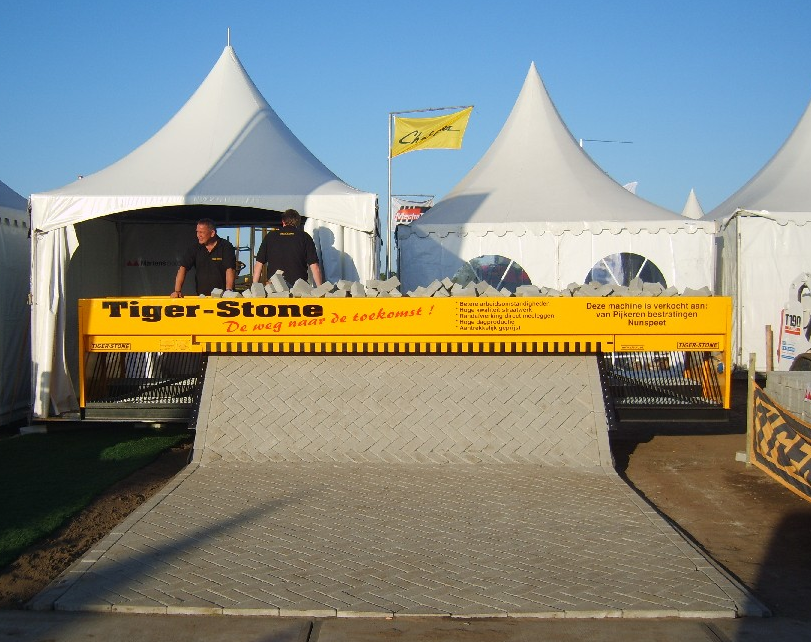 Tiger Stone