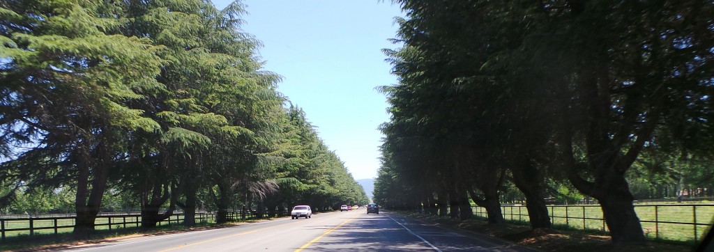 Beautiful Farm Street Outside Buellton